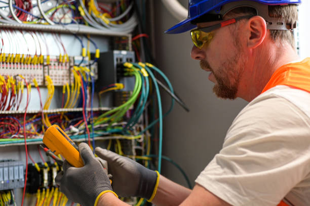 Best Home Electrical Repair  in Luck, WI